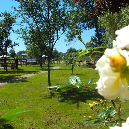 Les Roulottes De La Brauderie Panzió Brissarthe