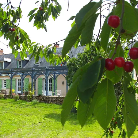 Les Roulottes De La Brauderie 3* Brissarthe