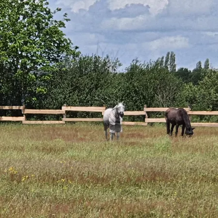 Les Roulottes De La Brauderie ベッド・アンド・ブレックファスト Brissarthe