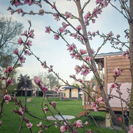 Les Roulottes De La Brauderie Brissarthe