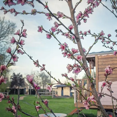 Les Roulottes De La Brauderie Panzió 3*